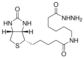 Biotinamidocaproyl Hydrazide - CAS:109276-34-8 - BA15, 11, (+)-Biotin-?-aminocaproyl hydrrazide, (+)-Biotin-X-hydrazide, N-(+)-Biotinyl-6-aminohexanoic hydrazide